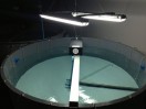 SELF CLEANING TANK