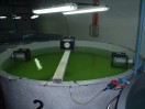 SELF CLEANING TANK