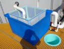 EGG COLLECTOR/LIVE FEEDS HARVESTER